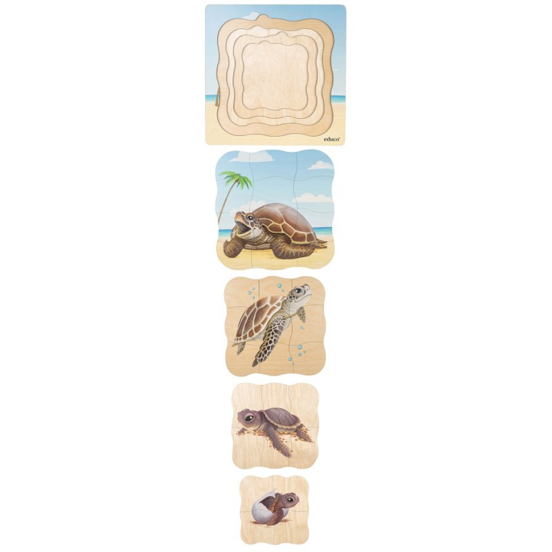 Turtle Growth Puzzle