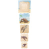 Turtle Growth Puzzle