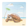 Turtle Growth Puzzle