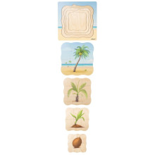 Wachstumspuzzle Kokospalme