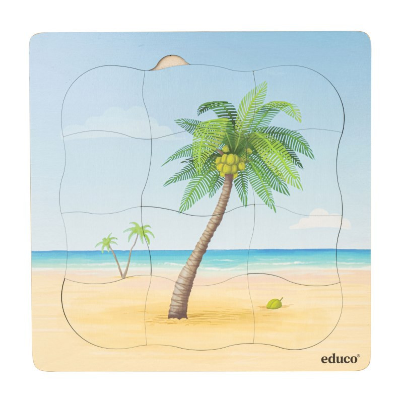 Wachstumspuzzle Kokospalme