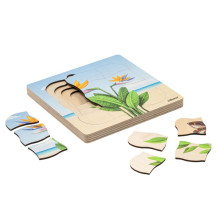 Growth puzzle paradise plant