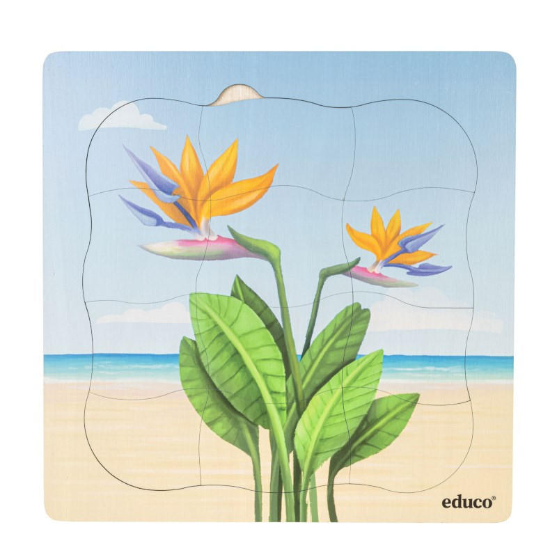 Growth puzzle paradise plant