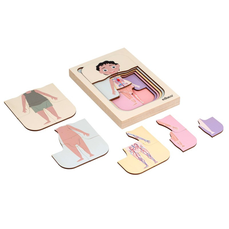 Growth Puzzle Human Body - Boy