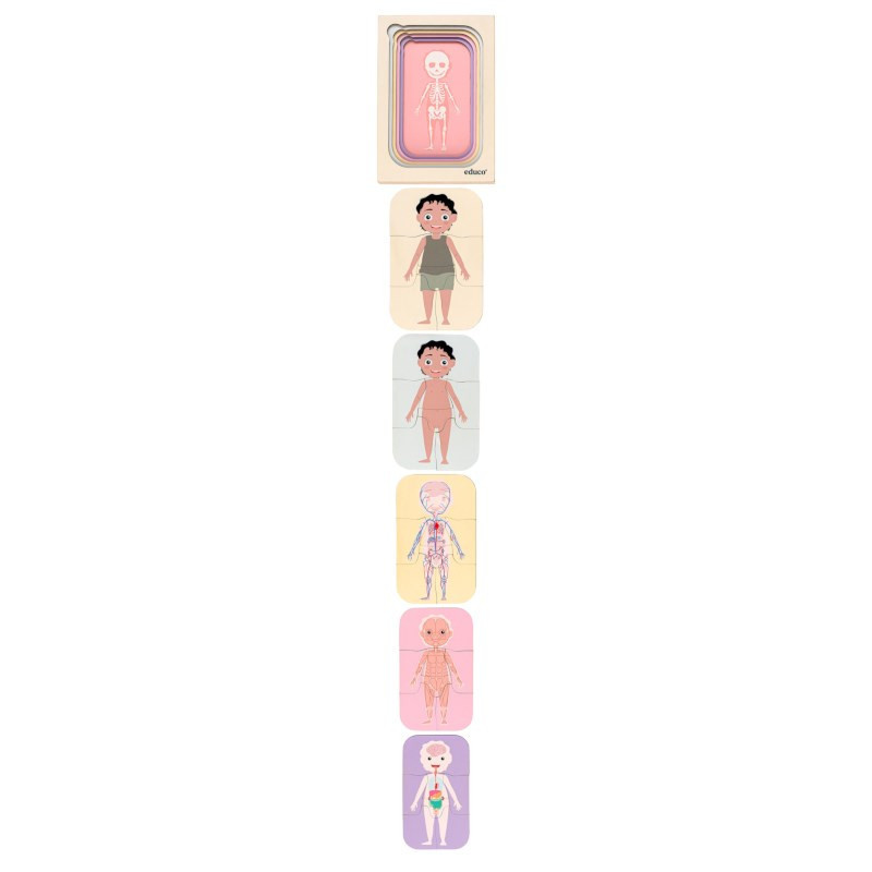Growth Puzzle Human Body - Boy