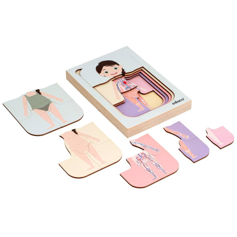 Growth Puzzle Human Body - Girls