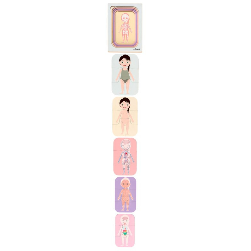 Wachstumspuzzle Menschlicher Körper - Mädchen