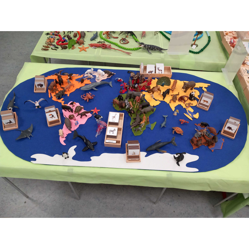 Felt continents (1.30 x 0.70 m)