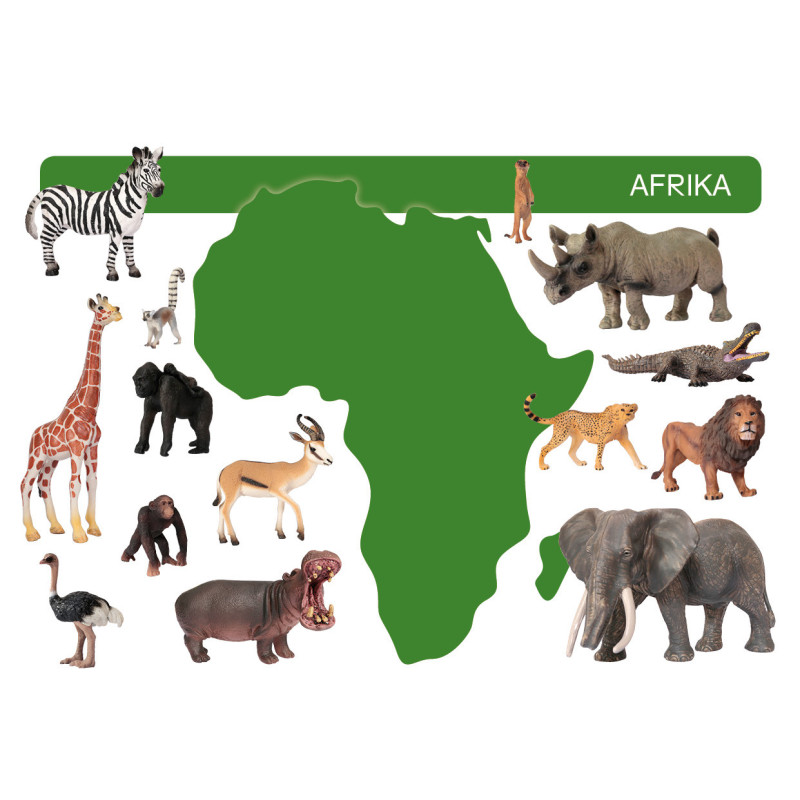 Kartei Tiere Afrika