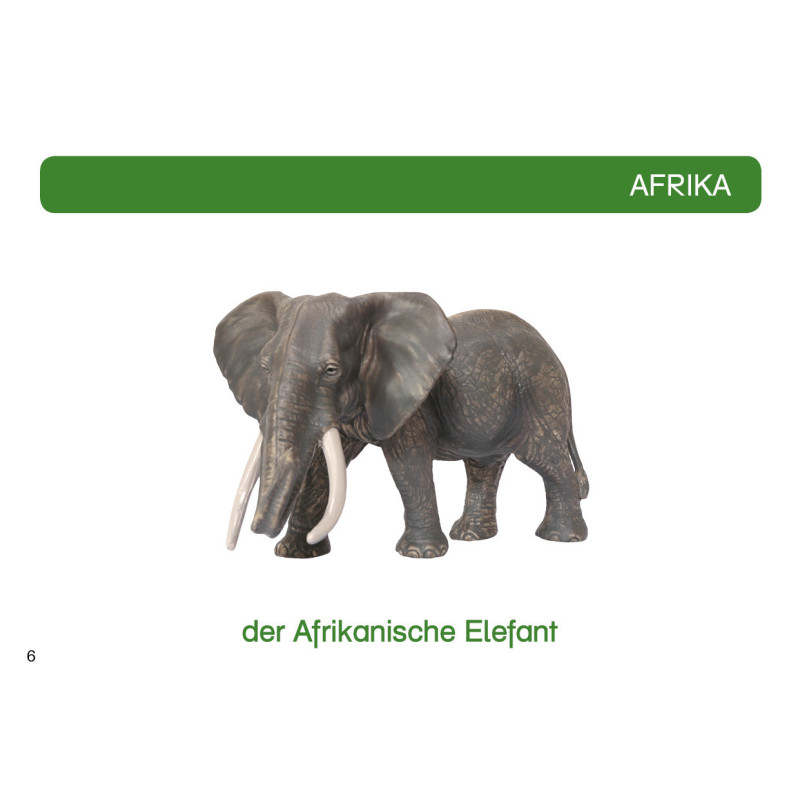 Kartei Tiere Afrika