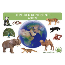kópia z kópia z Kartei Tiere Europa