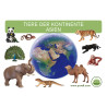 Kartei Tiere Asien