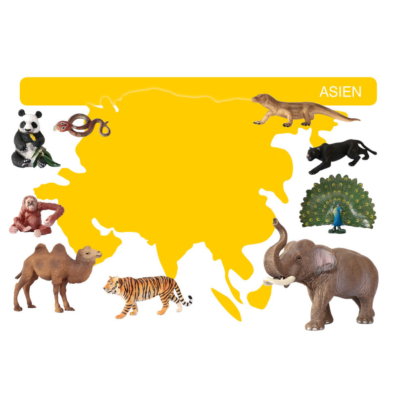 kópia z kópia z Kartei Tiere Europa