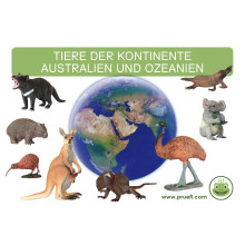 Card file animals Australia and Oceania