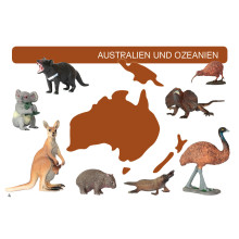 Card file animals Australia and Oceania