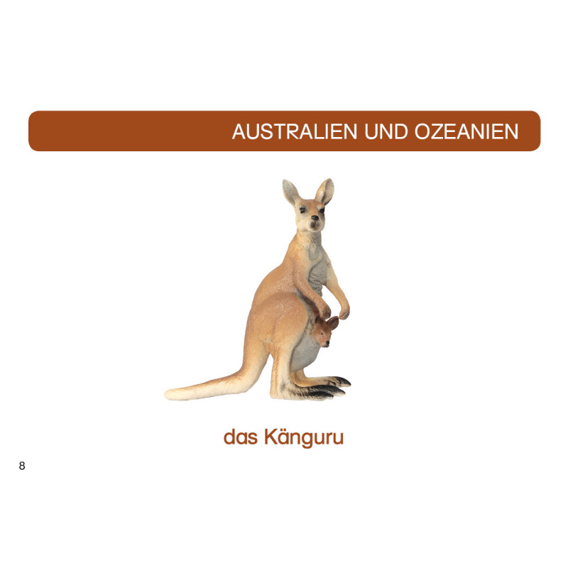Kartei Tiere Australien und Ozeanien