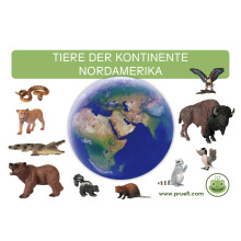 Card file animals North America