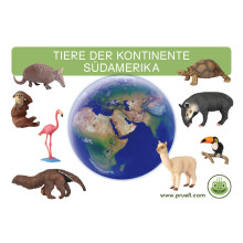 Card file animals South America