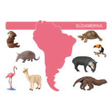 kópia z kópia z kópia z kópia z kópia z Kartei Tiere Europa