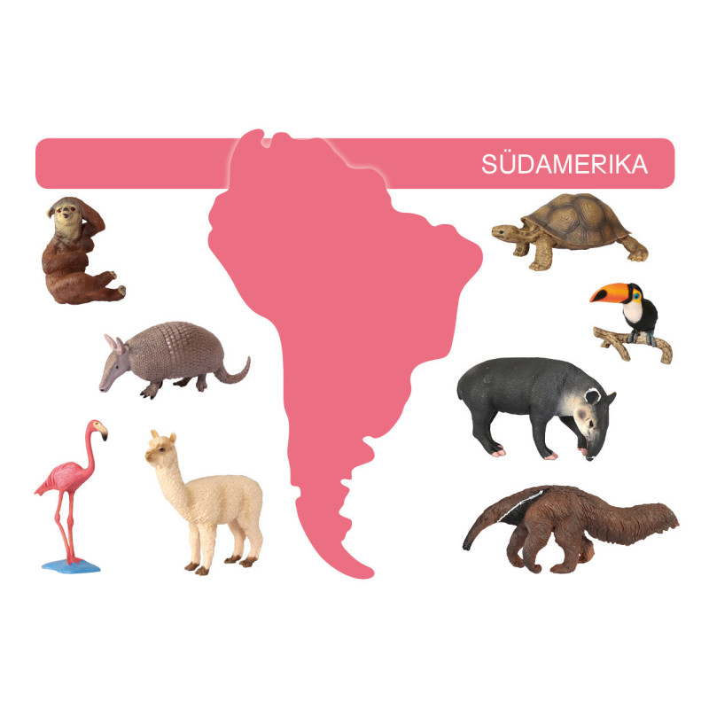 Card file animals South America