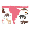 Card file animals South America