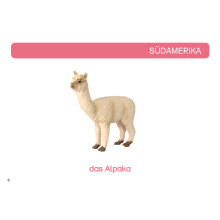 Card file animals South America