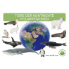 Kartei Tiere Polarregion