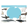 Card file animals polar region