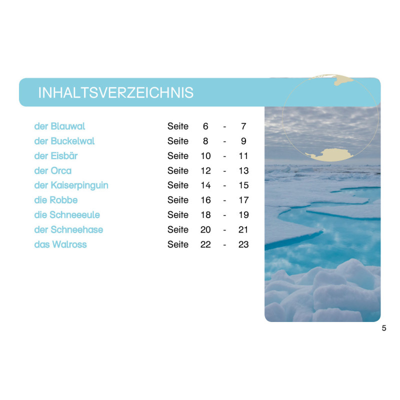 Card file animals polar region