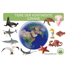 Card file animals oceans