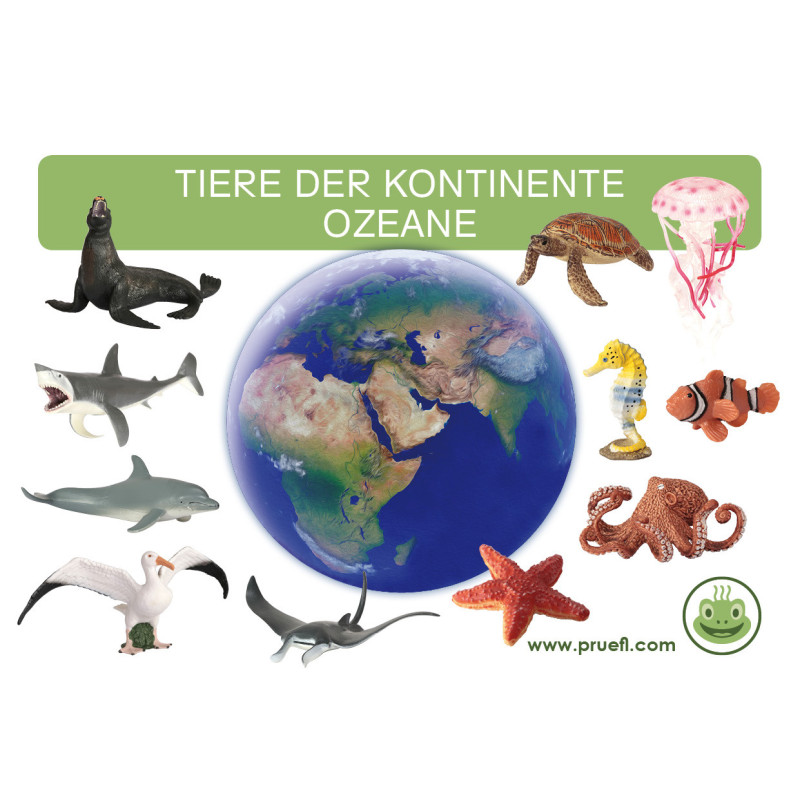 Kartei Tiere Ozeane