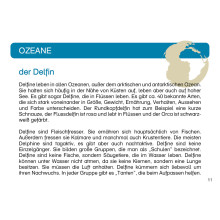 Kartei Tiere Ozeane