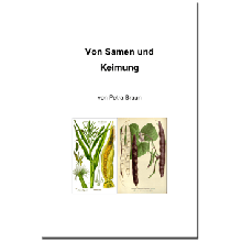 Research Notebook Bean – From Seeds and Germination