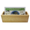 Card file animals polar region
