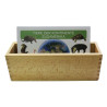 Card file animals South America