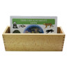 Card file animals Asia