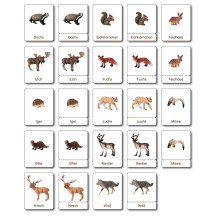 Klassifikationskarten - Deutsch + Tiere aus Europa
