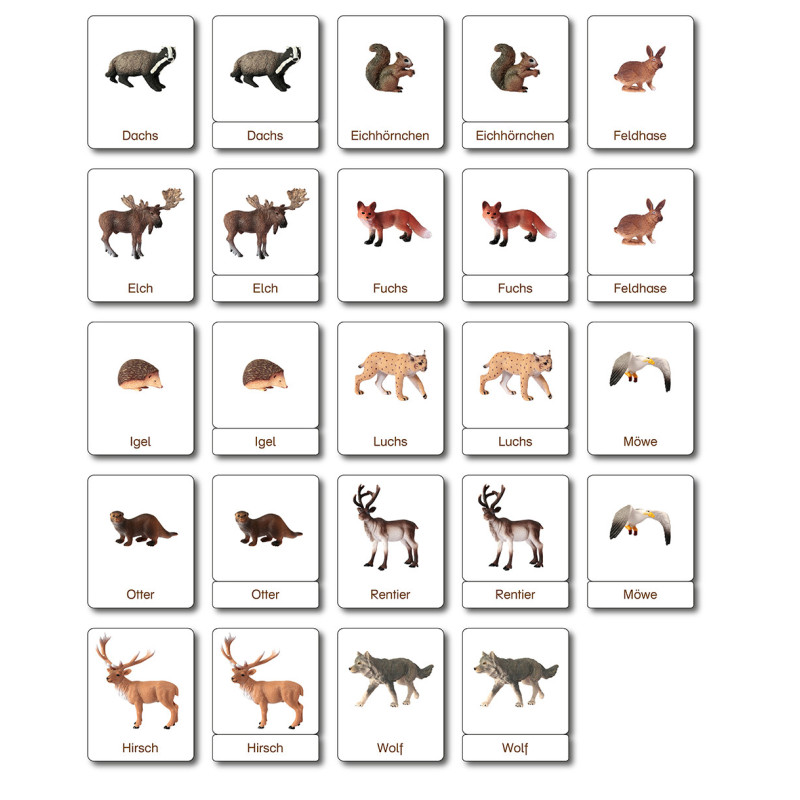 Tiere aus Europa