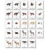 Tiere aus Europa