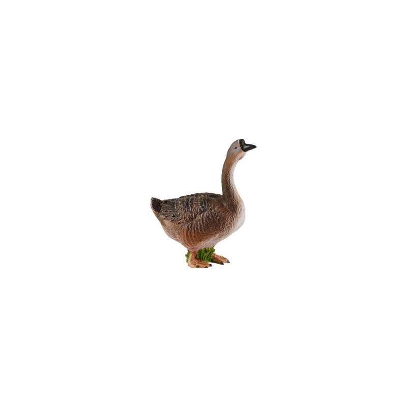 Lebenszyklus - Gans - Arbeitsmaterial - Deutsch