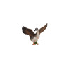 Animal family - Goose - German