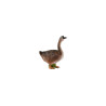 Animal family - Goose - German
