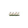 Animal family - Goose - German