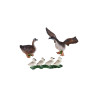 Tierfamilie - Gans - Deutsch
