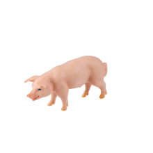 animal family - pig - German