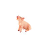 Tierfamilie - Schwein - Deutsch