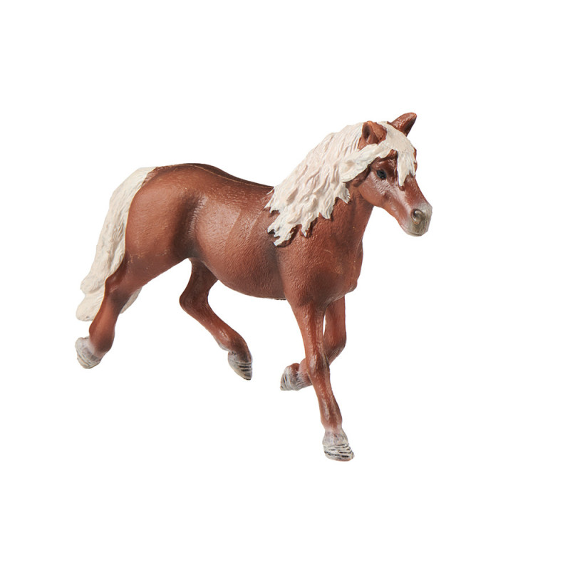 Tierfamilie - Pferd - Deutsch