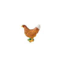 Tierfamilie - Huhn - Englisch