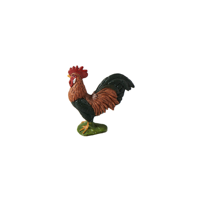 Tierfamilie - Huhn - Englisch