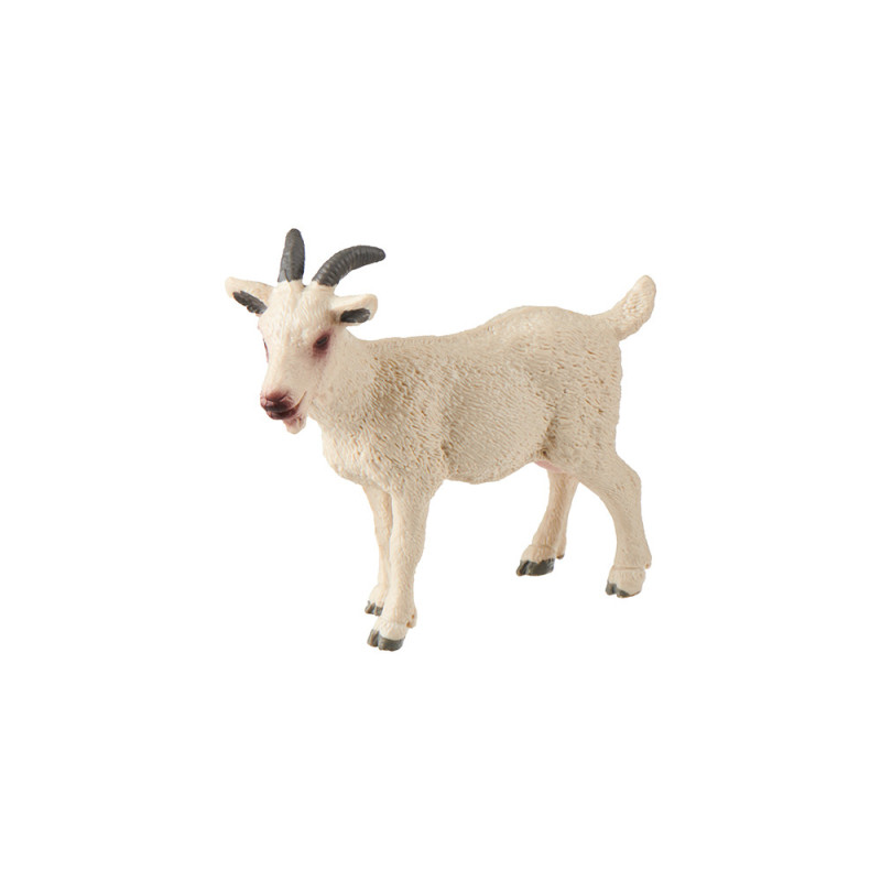 Tierfamilie - Ziege - Deutsch